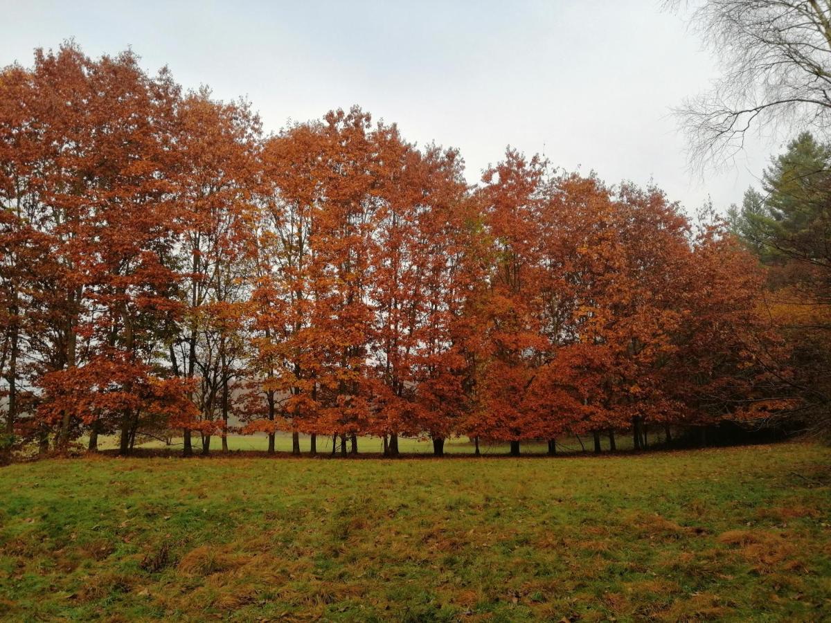 BeataMente B&B Olistico Torrazzo Esterno foto